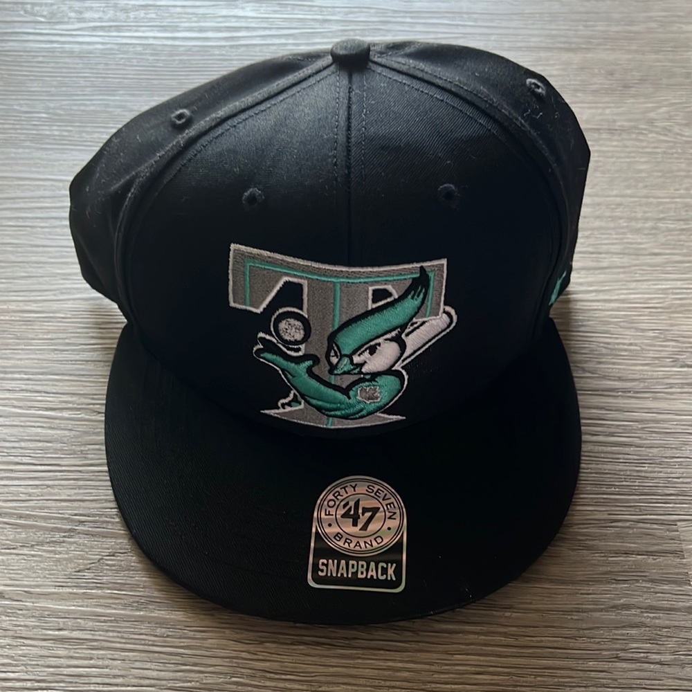 Blue jays SnapBack